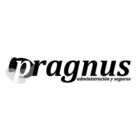 logo pragnus byn